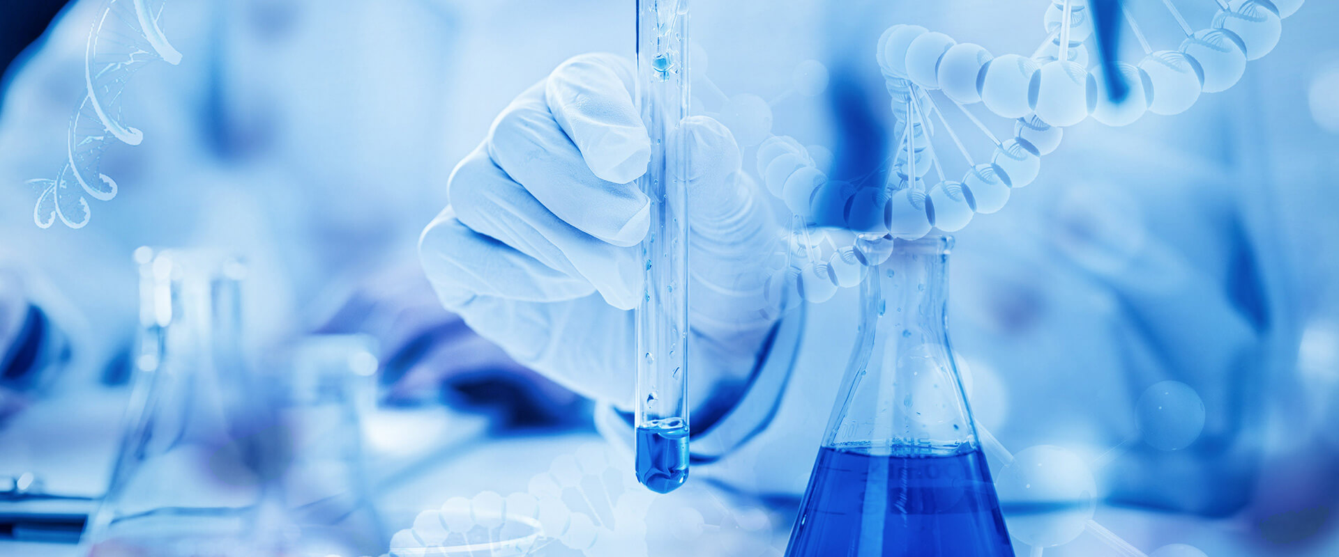 海南爱露生物科技实验有限公司
